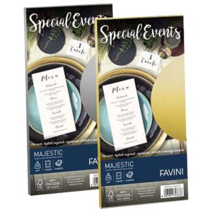 Kuverte Special Events 11×22 cm 120g pk10 Favini srebrne